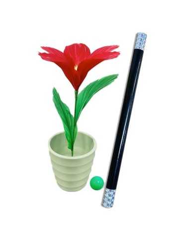 Magia con i fiori